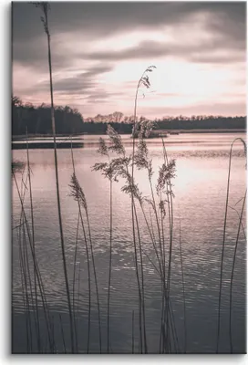 Obrázek produktu pro Obrazy na plátně nástěnné dekorace do obývacího pokoje trávy jezero nebe 80x120cm