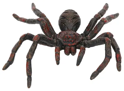 Produktbild von Simulation Insekt Modell Halloween Kinder Wildtier Figur Pädagogisches Spielzeug DekorationPL127‑846