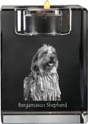 Obrázok produktu pre Art-Dog Svietnik na čajovú sviečku – Bergamský ovčiak