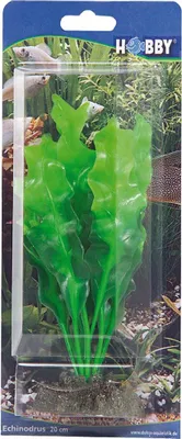 Produktbild von Hobby Echinodrus, 20 cm - künstliche Aquariumpflanze