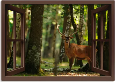 Produktbild von ARTland Leinwandbild Fensterblick - Hirsch im Wald, braun Größe: 100x70 cm