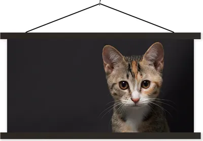 Produktbild von MuchoWow® Textilposter Katze - Schwarz - Porträt 120x60 cm mit schwarzem Rahmen - Dekoration Schlafzimmer