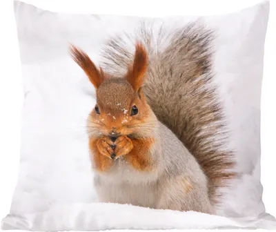 Produktbild von MuchoWow® Zierkissen Sofakissen Wohnzimmer Dekokissen 40x40 cm Eichhörnchen - Tier - Schnee - Foto Kissen - Schlafzimmer Dekoration