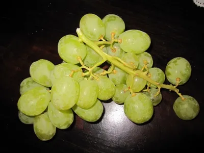 Produktbild von Vitis vinifera Sugraone - Weinrebe Sugraone - Kernlos