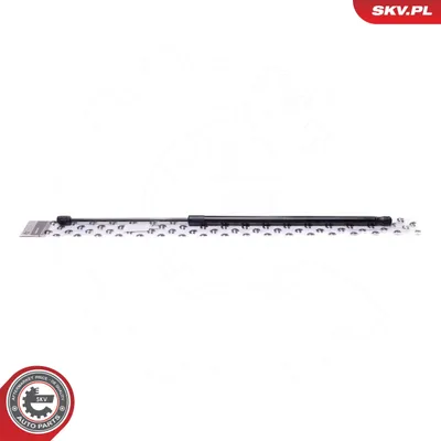 Image de Suspension pneumatique ESEN SKV, compartiment à bagages x 52SKV792