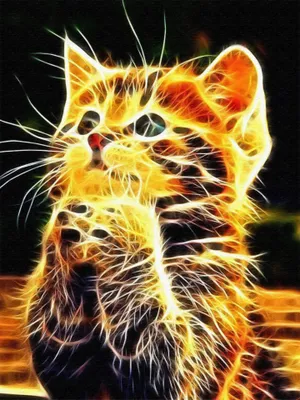 Produktbild von Malen nach Zahlen 5D Diamant Painting Katze Set für kreative DIY-Dekoration.
