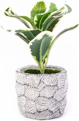Zdjęcie produktu dla Sztuczne Kwiaty W Doniczce Zielona Roślina 18Cm