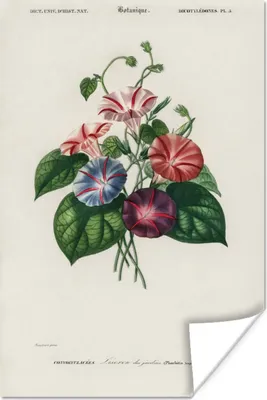 Produktbild von MuchoWow® Poster Blumen - Vintage - Blatt 120x180 cm - Kunstposter