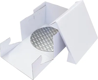 Produktbild von Silberner Tortenständer Kreis Durchmesser 22,8cm + Tortenbox