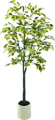 Produktbild von Künstlicher Zitronenbaum, Keine Pflege Erforderlich, Lebensechte Erscheinung, 180cm