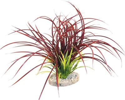 Obrázek produktu pro Akvarijní rostlina, umělá Sydeco Fan tráva 30 cm