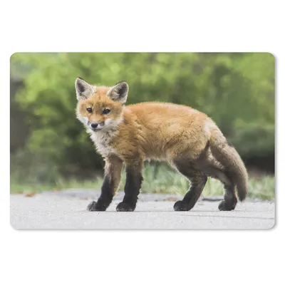Produktbild von MuchoWow® Mauspad Mousepad Fuchs - Welpe - Straße 27x18 cm - Mousepads - Maus Mat - Pad - Mausunterlage - Büroartikel - Desk Matten