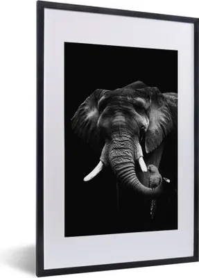 Produktbild von MuchoWow® Gerahmtes Poster Elefant mit Papagei vor schwarzem Hintergrund - schwarz und weiß 40x60 cm - Poster mit Schwarzem Bilderrahmen Wandposter Rahmen Foto Bilder - Poster in Rahmen