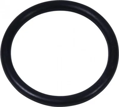 Immagine prodotto di INTEX 10134 Guarnizione tubo O-ring - Pompa filtro