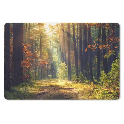 Produktbild von MuchoWow® Schreibtischunterlage Wald - Herbst - Bäume 60x40 cm - XXL Mauspad - Großes Mauspad