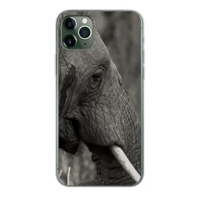 Produktbild von MuchoWow® Handyhülle Schutzhülle Hülle für iPhone 11 Pro Max Elefant - Tiere - Schwarz - Weiß Silikon Softcase Handy Hülle - Schutz