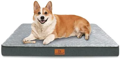 Image de Lit pour grands chiens - coussin imperméable et respirant avec housse amovible, M (76 x 50 x 8 cm)