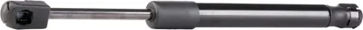 Produktbild von RIDEX 219G0218 Gasfeder Heckklappendämpfer für OPEL Vectra C Limousine (Z02) 268mm