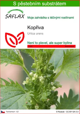 Obrázek produktu pro SAFLAX - kopřiva - Urtica urens - 150 Semena - S pěstebním substrátem bez klíčků