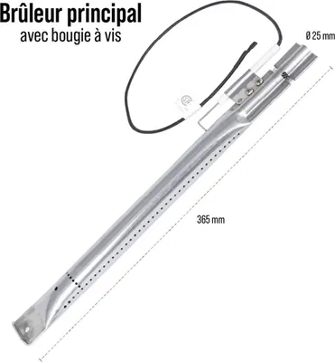 Image de brûleurs avec bougie a vis