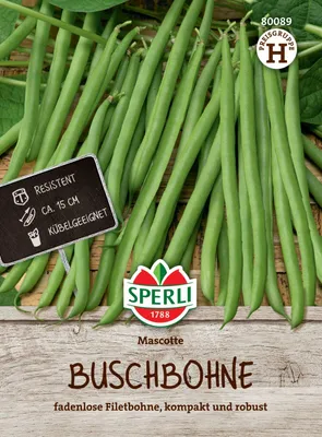 Produktbild von Buschbohne Mascotte | Buschbohnensamen von Sperli