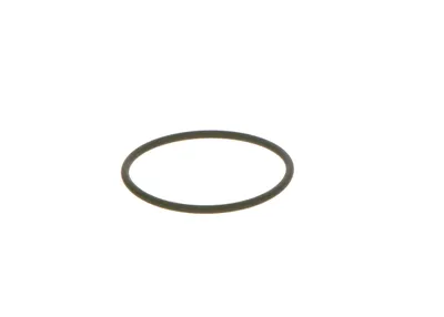 Produktbild von BOSCH Dichtring F 00N 202 130