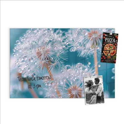 Produktbild von Magnettafel 60x40cm Pinnwand Whiteboard beschreibbar - Wassertropfen Pusteblume