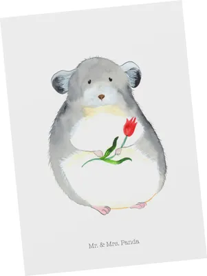 Produktbild von Mr. & Mrs. Panda Grußkarte Chinchilla Blume - Weiß - Geschenk, Ansichtskarte, Lustige Sprüche, Glücklichsein, Fotokarte, Postkarte, bildkarte, Liebeskummer, Kummer, Chaos