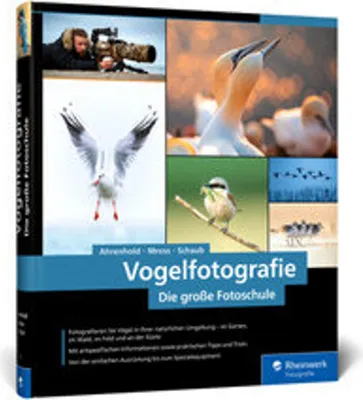 Image de Umfassende Anleitung zur Vogelfotografie: Ausrüstung, Technik, Bildgestaltung & Motivideen
