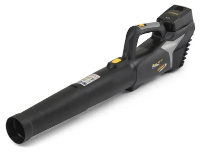 Image de Souffleur électrique à batterie lithium 20 V Alpina ABL 20 Li Kit