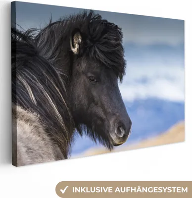 Obrázok produktu pre OneMillionCanvasses® - Obrazy na plátne - 140x90 cm, Islandské poníky, nástenné umenie Print Wall Decoration
