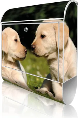 Produktbild von banjado Design Briefkasten Stahl weiß mit Zeitungsfach pulverbeschichtet "Labrador" 38x46x12,5cm & 2 Schlüssel - Postkasten A4 Einwurf inkl. Montagematerial [BKW 10200]
