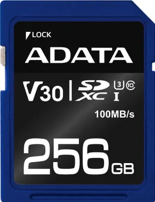 Produktbild von Premier Pro 256 GB SDXC (UHS-I U3, Class 10, V30)