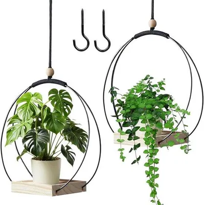 Image de Suspensions métalliques pour plantes d'intérieur - Anneau métallique avec socle en bois - Lot de 2 pièces
