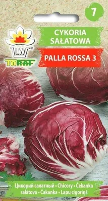 Immagine prodotto di Toraf Semi di ortaggi Cicoria Palla Rossa 3, confezione da 5 g