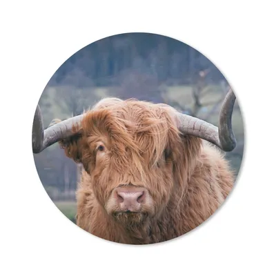 Produktbild von MuchoWow® Mauspad Mousepad Schottischer Highlander - Hörner - Berg 30x30 cm - Mousepads - Maus Mat - Pad - Mausunterlage - Tischunterlage - Schreibtischmatten