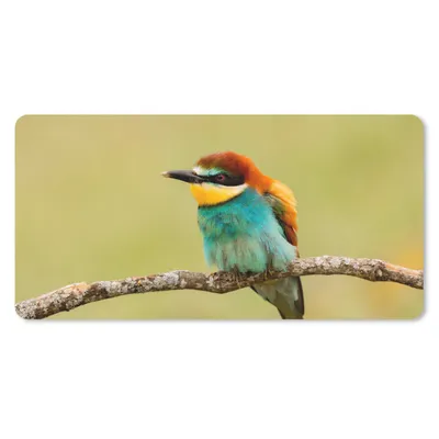 Produktbild von MuchoWow® Mauspad Mousepad Vogel - Bienenfresser - Tiere 60x30 cm - Mousepads - Maus Mat - Pad - Mausunterlage - Nachhaltig