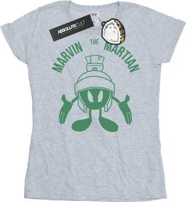 Produktbild von Looney Tunes - T-Shirt für Damen BI27152 (XXL) (Grau)