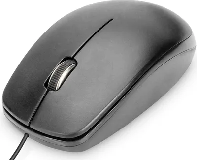 Imagen del producto de DIGITUS DA-20160: Ratón óptico, con cable, 3 botones, color