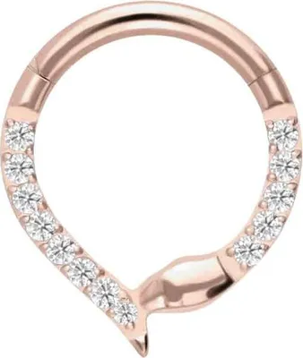 Produktbild von Ohrpiercing, Nasenpiercing, Septum Piercing Titan Segmentring Clicker KRISTALLSCHLANGE