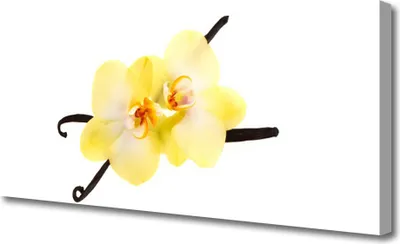 Produktbild von Tulup Leinwand-Bilder 125x50 Wandbild Canvas Kunstdruck Blumen Pflanzen