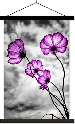 Produktbild von MuchoWow® Textilposter Blumen - Schwarz - Weiß - Lila 60x90 cm mit schwarzem Rahmen - Poster Wohnzimmer