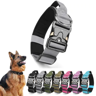 Produktbild von Taktisches Hundehalsband mit Griff, Verstellbar, Gepolstert, Metallschnalle, Silber, L