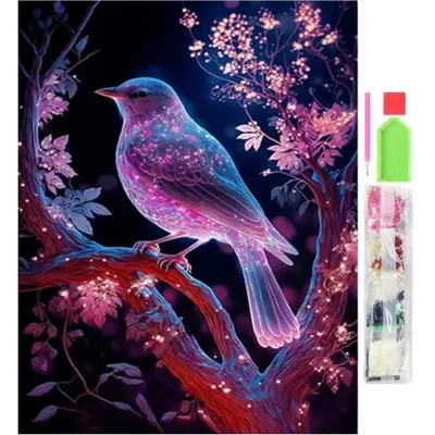 Produktbild von Diamant-Malerei-Set Vogel 5D 30X40Cm
