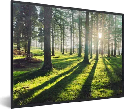 Produktbild von MuchoWow® Gerahmtes Poster Bäume - Natur - Wald 80x60 cm - Poster mit Schwarzem Bilderrahmen Wandposter Rahmen Foto Bilder - Schwarzem - Mit Gestell