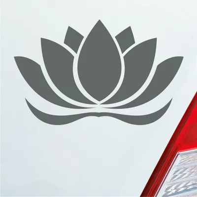 Produktbild von Auto Aufkleber Lotusblüte Lotus Blüte Blume Pflanze Seerose 16x10 cm Grau Sticker Heckscheibenaufkleber