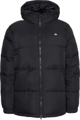 Produktbild von Dickies 469874 : Größe - L Größe: L