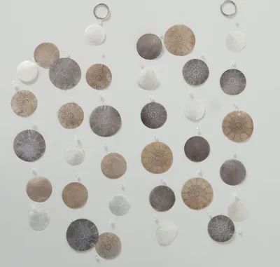Produktbild von Muschel Capiz Windspiel Nyla beige dunkelgrau weiß, 2 Sort. / 2 Stück