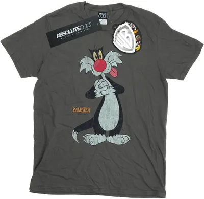 Produktbild von Looney Tunes - T-Shirt für Herren BI35123 (XXL) (Holzkohle)