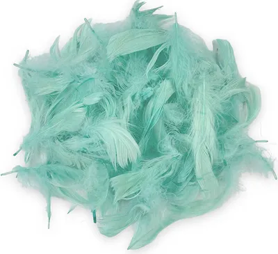 Immagine prodotto di DECO SPRINGS Piume colorate artigianali carnevale matrimonio 10pz menta
